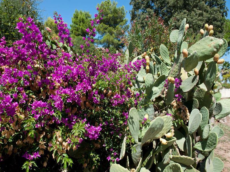 Ostuni A Mare Hotel ภายนอก รูปภาพ